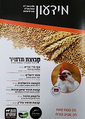 eggs_news